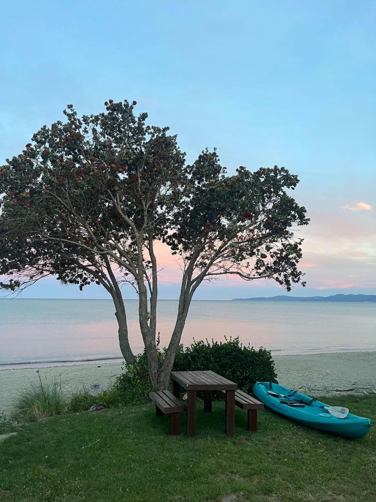 Beachfront Bliss - Your Parapara Seaside Retreat Exterior photo